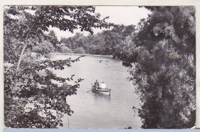 bnk cp Buzau - Lacul din Crang - uzata