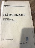 M. Carvunari