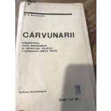 M. Carvunari