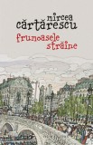 Frumoasele straine - Mircea Cartarescu - Humanitas