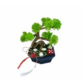 Mini Bonsai cu licheni (Verde)