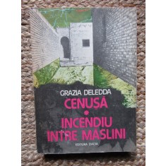 Grazia Deledda - Cenusa / Incendiu intre maslini, 1987