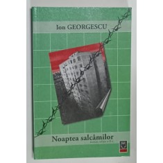 NOAPTEA SALCAMILOR , roman de ION GEORGESCU , 2008