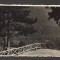 CPIB 20970 CARTE POSTALA - BRASOV. PRIVELISTE, FERRANIA