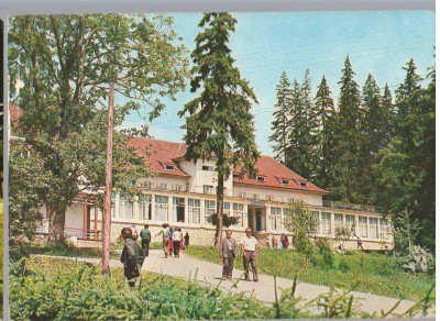 CPIB 15228 - CARTE POSTALA - BORSEC, VEDERE foto