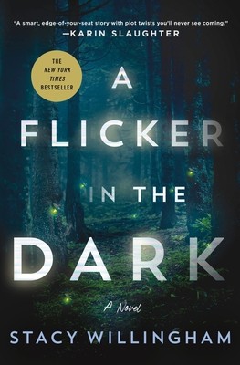 A Flicker in the Dark foto