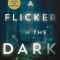 A Flicker in the Dark