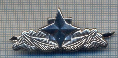 AX 781 INSIGNA - SEMN DE ARMA SRI - PENTRU COLECTIONARI foto