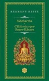 Siddhartha. Calatoria spre Soare-Rasare/Hermann Hesse, Rao