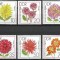 DDR 1979 - Flori de gradina, serie neuzata