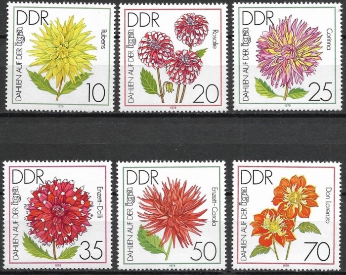 DDR 1979 - Flori de gradina, serie neuzata