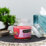 Lumanare parfumata - cu capac - fructe de padure - 310 g