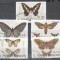 Sao Tome e Principe 1992 Butterflies, used AL.065