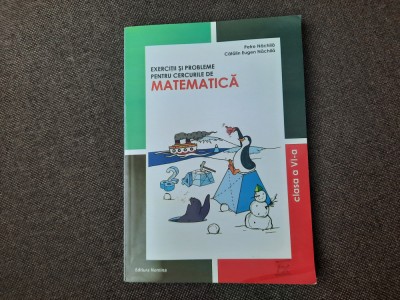 Petre Nachila - Exercitii si probleme pentru cercurile de matematica, cLS A VI-a foto