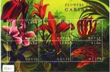 NEVIS 2000 FLORI