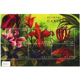 NEVIS 2000 FLORI