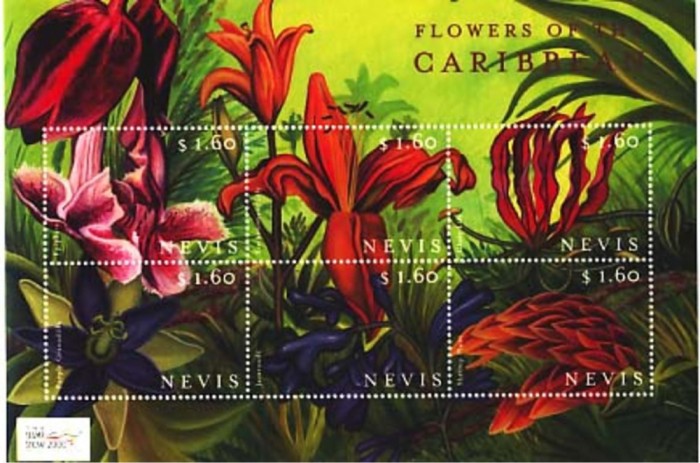 NEVIS 2000 FLORI