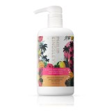 Philip Kingsley, Elasticizer Booster, Mango și Hibiscus, Balsam de păr, Restaurativ, 500 ml