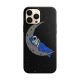 Husa compatibila cu Apple iPhone 12 model Astronap,Silicon, Tpu, Riago, Transparent, Carcasa, Viceversa