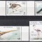 Sahara Occidentala R.A.S.D 1990 - Păsări, MNH