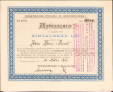 HST A636 Acțiune 1000 lei Bodenkreditanstalt in Hermannstadt 1921