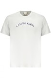 Cumpara ieftin Calvin Klein Tricou barbati, cu imprimeu cu text, Regular fit, Gri deschis, XL