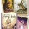 Wild Wisdom of the Faery Oracle