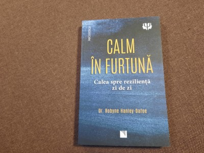 Calm in furtuna Calea spre rezilienta zi de zi Robyne Hanley-Dafoe foto