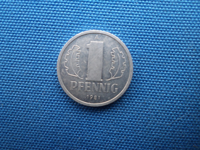 1 PFENNIG 1981 / RDG