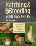 Hatching &amp; Brooding Your Own Chicks: Chickens, Turkeys, Ducks, Geese, Guinea Fowl