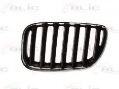 Grila radiator BMW X5 (E53) (2000 - 2006) BLIC 6502-07-0095995P foto