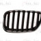 Grila radiator BMW X5 (E53) (2000 - 2006) BLIC 6502-07-0095995P