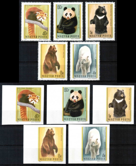 Ungaria 1976, Mi #3243-3247 A+B**, dant + ned, fauna, ursi, Panda, MNH. Cota 174,50 &euro;!