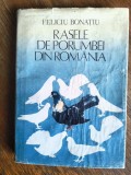 Rasele de porumbei din Romania - Feliciu Bonatiu / R3P1S