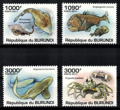 BURUNDI 2011 - Fauna marina / serie completa MNH foto