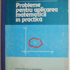 Probleme pentru aplicarea matematicii in practica - Cerchez Mihu, Theodor Danet
