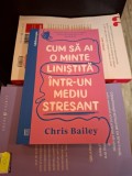 Cum să ai o minte liniștită &icirc;ntr-un mediu stresant - Chris Bailey