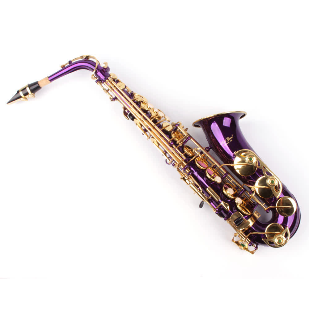 Saxofon Alto Karl Glaser MOV | Okazii.ro
