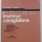 INSEMNARI CARAGIALIENE de IERONIM TATARU, 2006