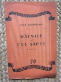 ALEX SAHIGHIAN - MAINILE SI CEI SAPTE
