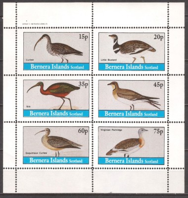 SCOTIA ( BERNERA ISLANDS ) 1982 FAUNA PASARI ( bloc dantelat ) MNH foto