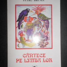 Petru Bruma - Cantece pe limba lor (2002, cu autograful si dedicatia autorului)