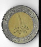 Cumpara ieftin Moneda 1 pound 2007 - Egipt, Africa