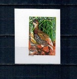 Maroc 1974 - Păsări, Mi.No.789U nedantelat, neuzat