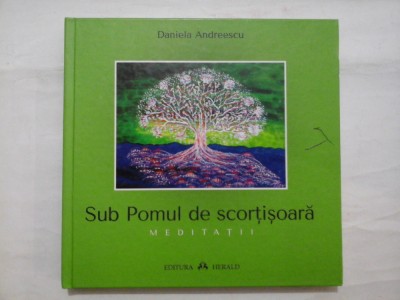 Sub Pomul de scortisoara * MEDITATII - Daniela Andreescu foto