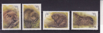 BELARUS 1996 FAUNA WWF ROZATOARE SERIE MNH foto