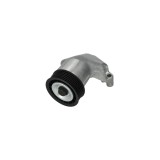 Intinzator curea FORD FOCUS DAW DBW DAYCO APV2314