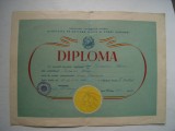 Diploma MAI Asociatia de cultura fizica si sport Dinamo, 1955, locul I fotbal