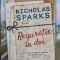 RESPIRATIE IN DOI-NICHOLAS SPARKS-266927