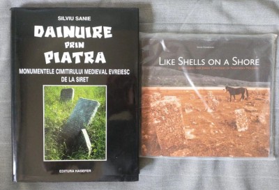 Silviu Sanie - Dăinuire prin piatră: monumentele... + Like Shells on a Shore foto